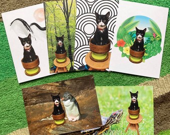 Conjunto de 6 Allie the Cat in Pot série A, cartão postal
