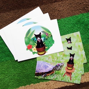 Allie in Pot - Série 1, Grande Carte Postale 17.4cm x 12.2cm, 2 designs, set de 6