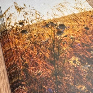 Grußkarte - "Golden Summer"