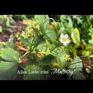 Grußkarte "Wald-Erdbeeren" - Alles Liebe zum Muttertag!