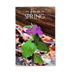 Grußkarte "Silberblatt - The Power of Spring"