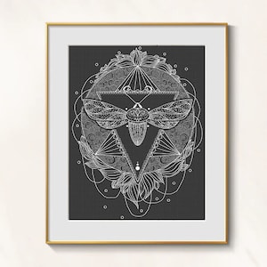 May include: A framed art print with a white insect illustration on a dark grey background. The insect is surrounded by geometric shapes and floral elements, all in a delicate line art style. The artwork is encased in a gold frame.