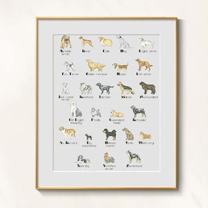 Dog Breeds Cross Stitch ABC pattern pdf - Dog Alphabet cross stitch Animalistic font cross stitch dog breeds ABC embroidery, dog sampler dmc