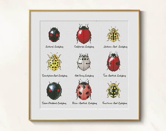 Modèle d'insectes au point de croix de coccinelles pdf - ensemble de coléoptères de point de croix d'insectes, modèle d'échantillonneur d'insectes entomologiste, broderie de coccinelles
