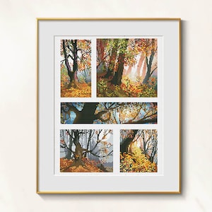 Op de afbeelding: Een ingelijst kunstwerk met een kruissteekontwerp van een herfstbosscène. Het kunstwerk is verdeeld in vijf panelen, met bomen met oranje en gele bladeren, en zonlicht dat door de takken schijnt. De lijst is goudkleurig.