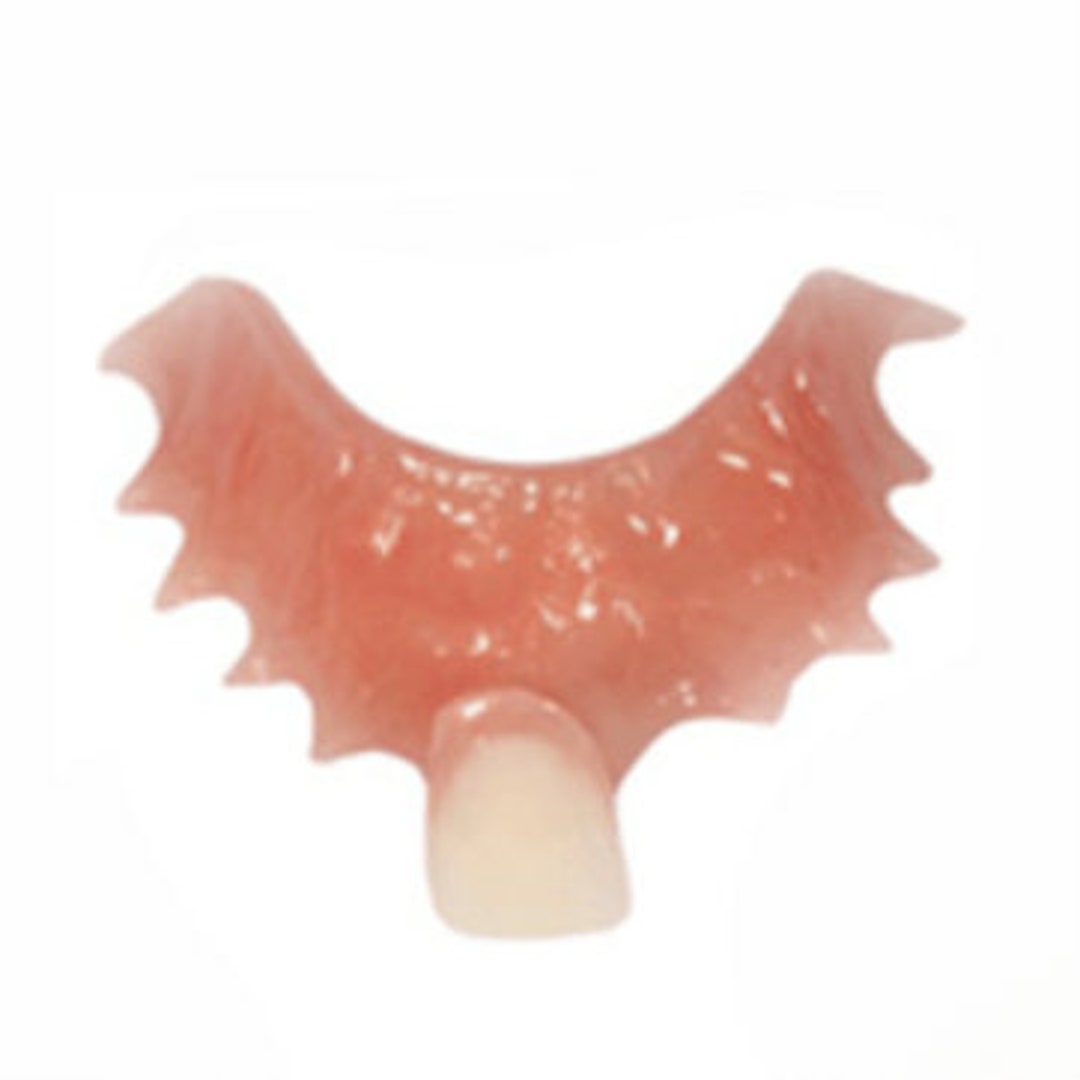 Dental Flipper 12 Tooth Replacement Etsy