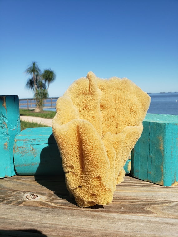 Yellow Sea Sponge Bath Brush