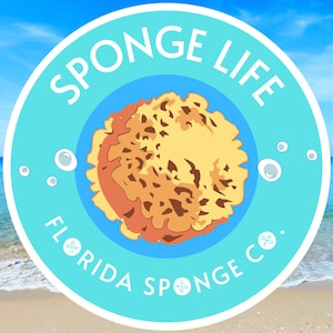 LARGE Sea Sponge 1pc 79, Display Sponge, Sustainably Harvested, Free Usa  Ship, Decorative Bath Sponge Gift, Florida Sponge Co 