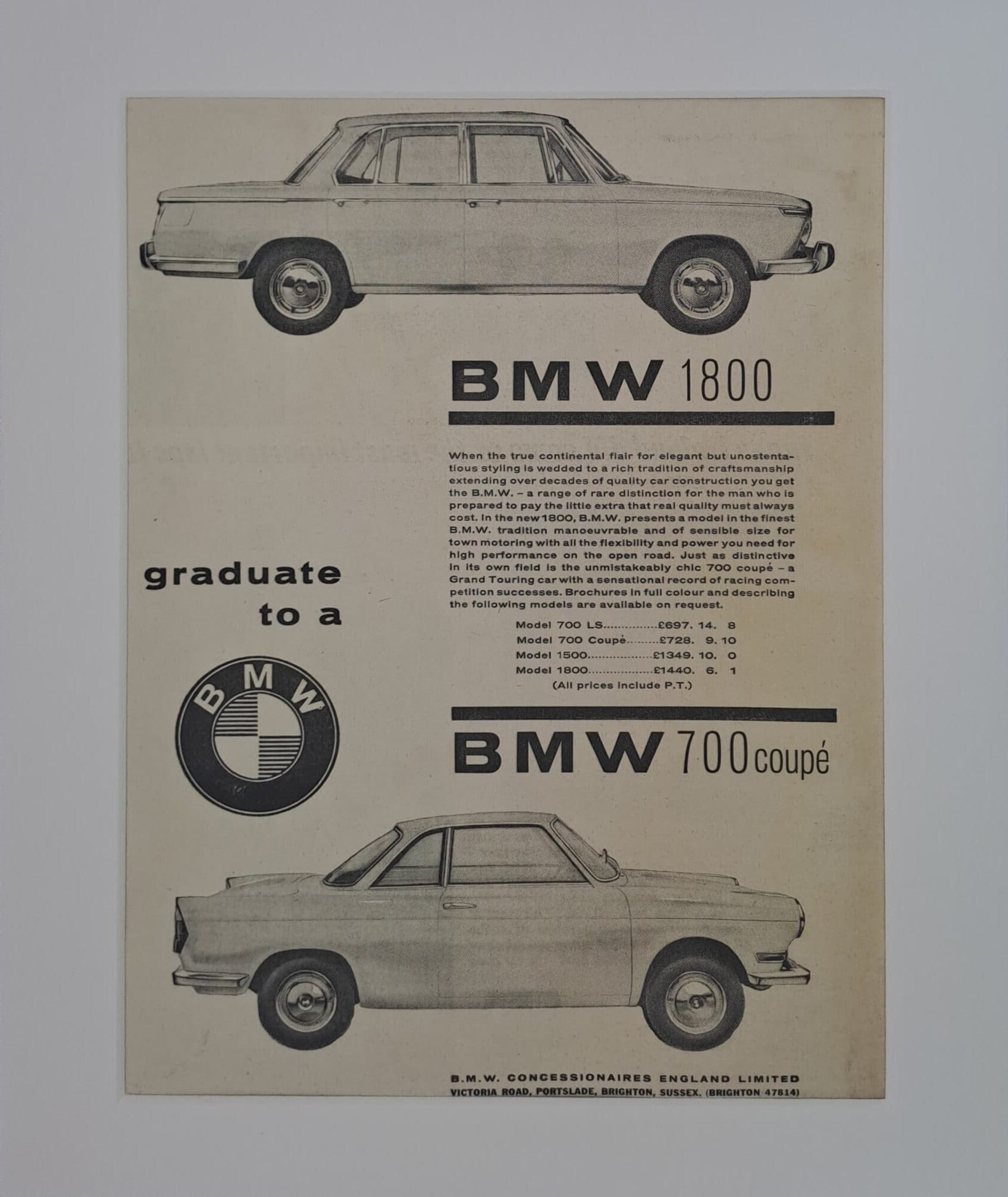 M The Grand Finale of the Zangersheide Online Foal Auction