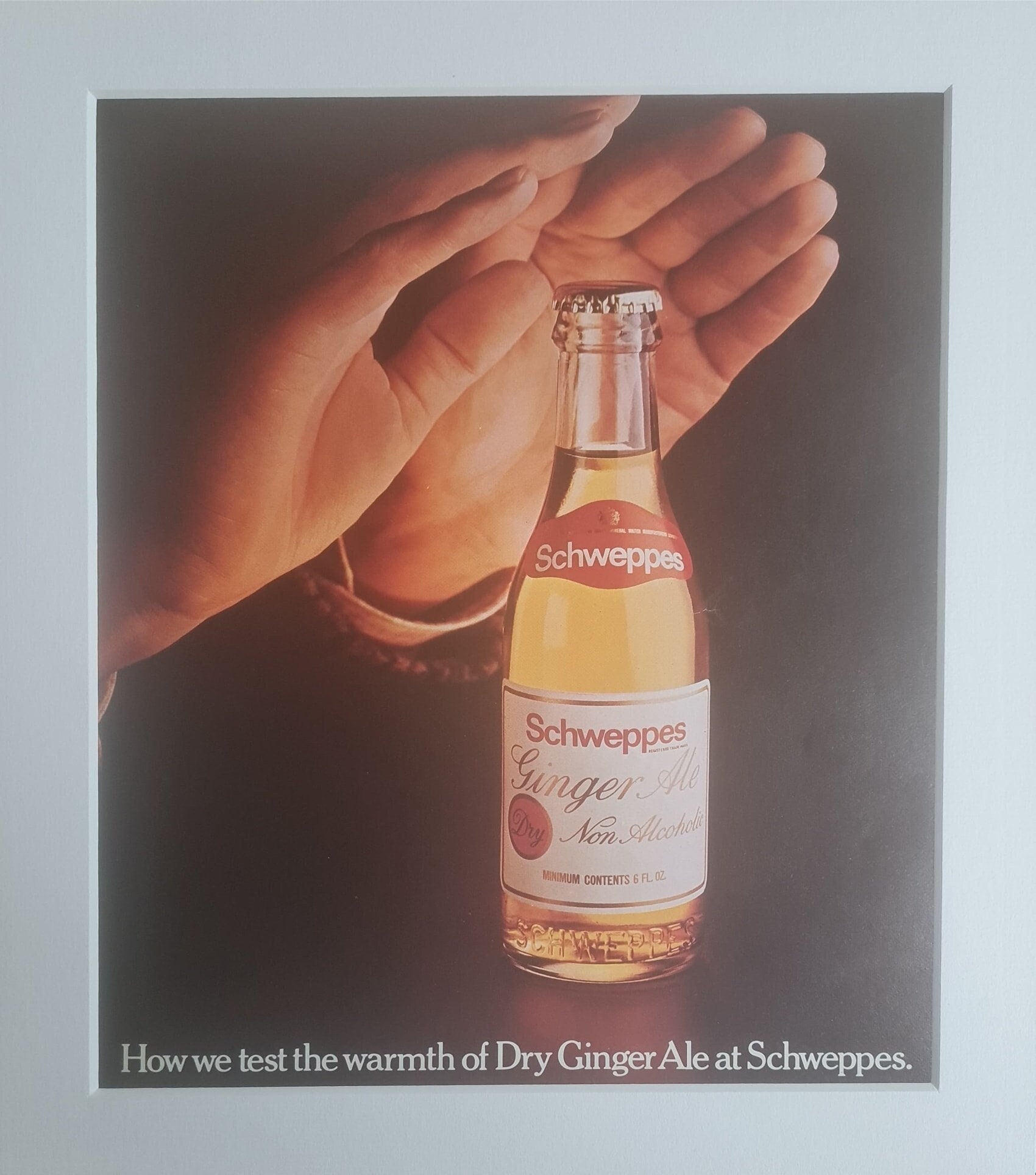 Schweppes ジンジャーエール ブリキ看板 アンティークA3