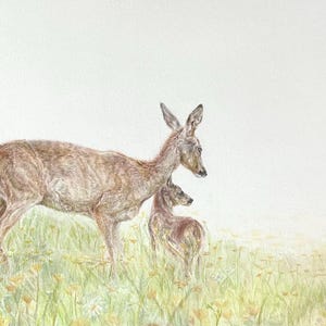 Deer Original artwork/ hand drawn colorpencil drawing/  hand drawn illustration/ Deer Fawn/ deer and fawn wall art decor