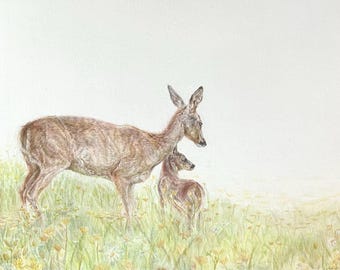 Original Deer & Fawn Color Pencil Drawing: 12x9in Unframed Art