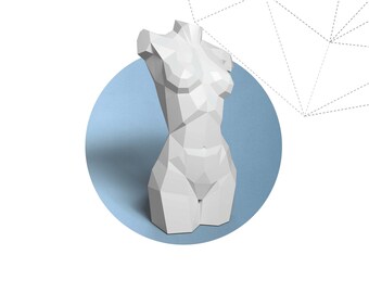3d Body Template - Etsy