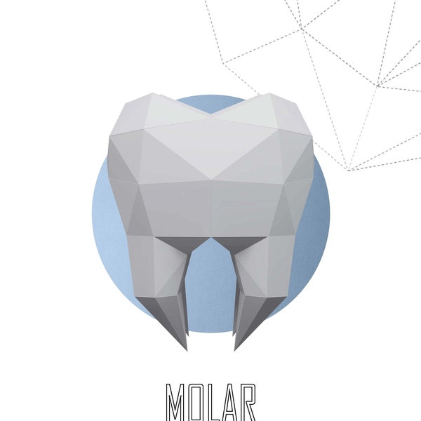 Papercraft 3D ZAHN MOLAR Zahn Veneers Low Poly Papier Skulptur DiY Zahnarzt Dekor oder Weihnachten Spielzeug Pepakura Muster Vorlage Stomatologie