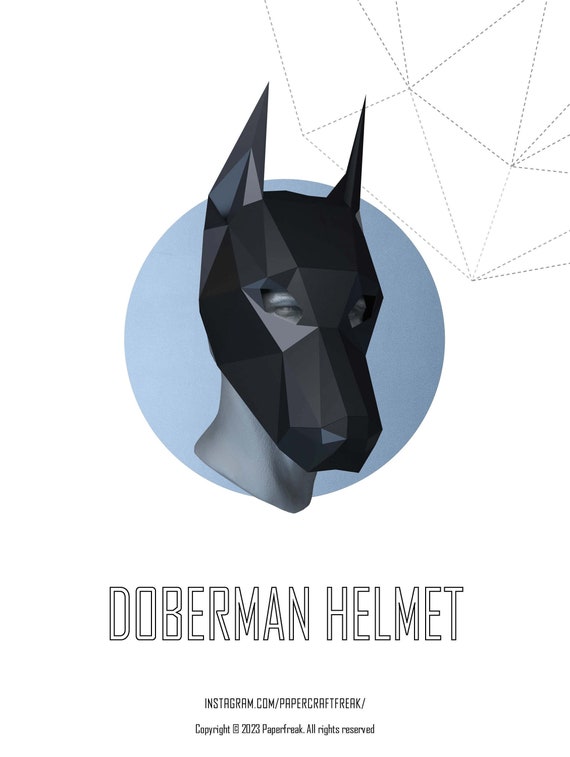 Diy dog cheap helmet
