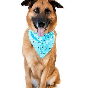 Dog Birthday Bandana