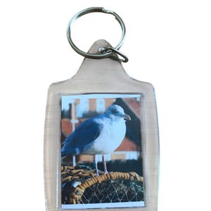 Keyring of a Seagull