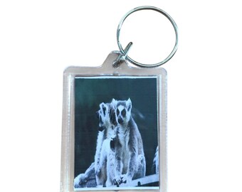 Keyring of Lemurs
