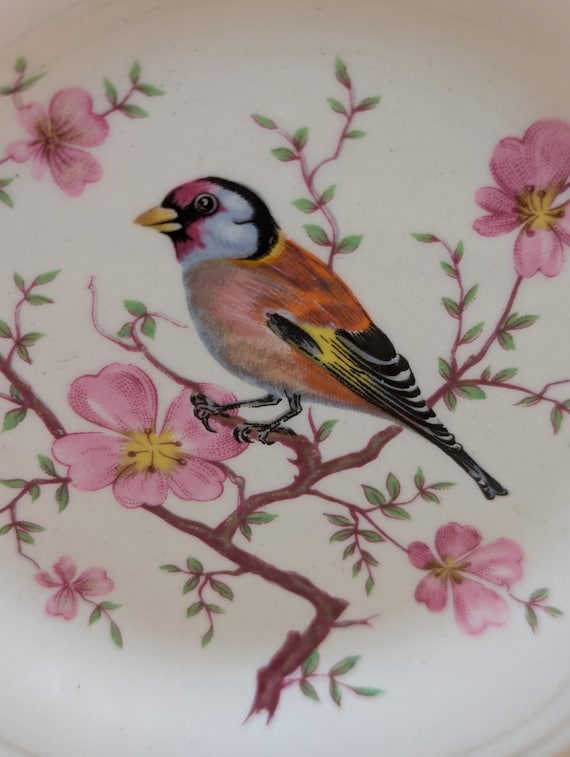 Vintage Royal Worcester Palissy Royale Collection Goldfinch Bird