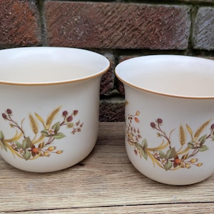 Puede incluir: Dos macetas de cerámica blanquecina con un diseño floral que presenta trigo, bayas y hojas en tonos verdes, amarillos y marrones. Las macetas tienen un borde dorado y están sobre una superficie de madera.