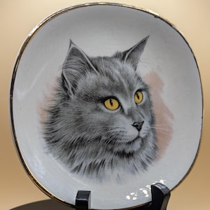 Vintage JH Weatherby Royal Falcon Ware ceramic pottery, tabby cat design, decorative plate, made in England ssquare plate with cat