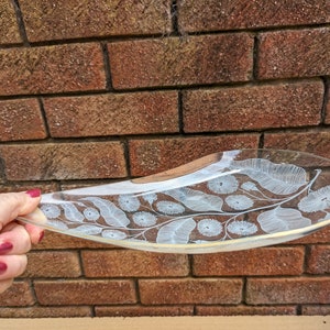 Chance Brothers glass plate in the Calypto pattern