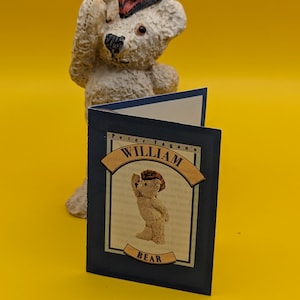 PETER FAGAN Colour Box Teddy Bear - William TC624 with paper certificate