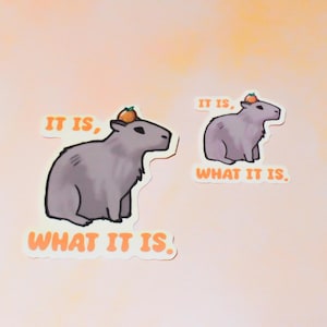 Sticker Capybara « C'est ce que c'est » – Fruit orange