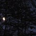 Full Moon Digital Prints - Etsy