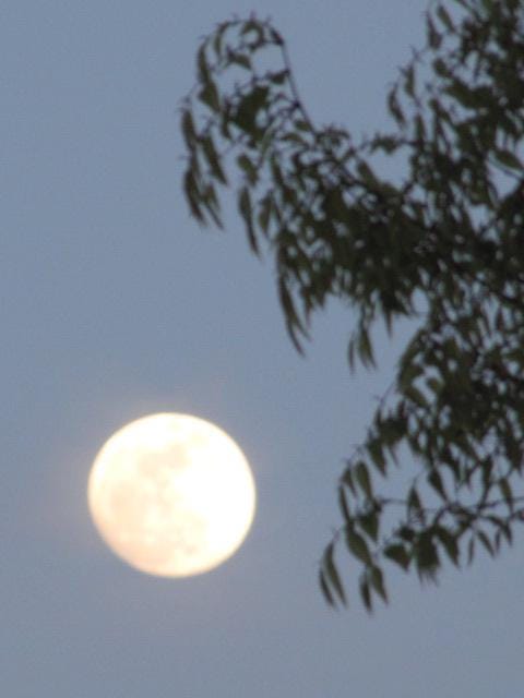 Full Moon Digital Prints - Etsy
