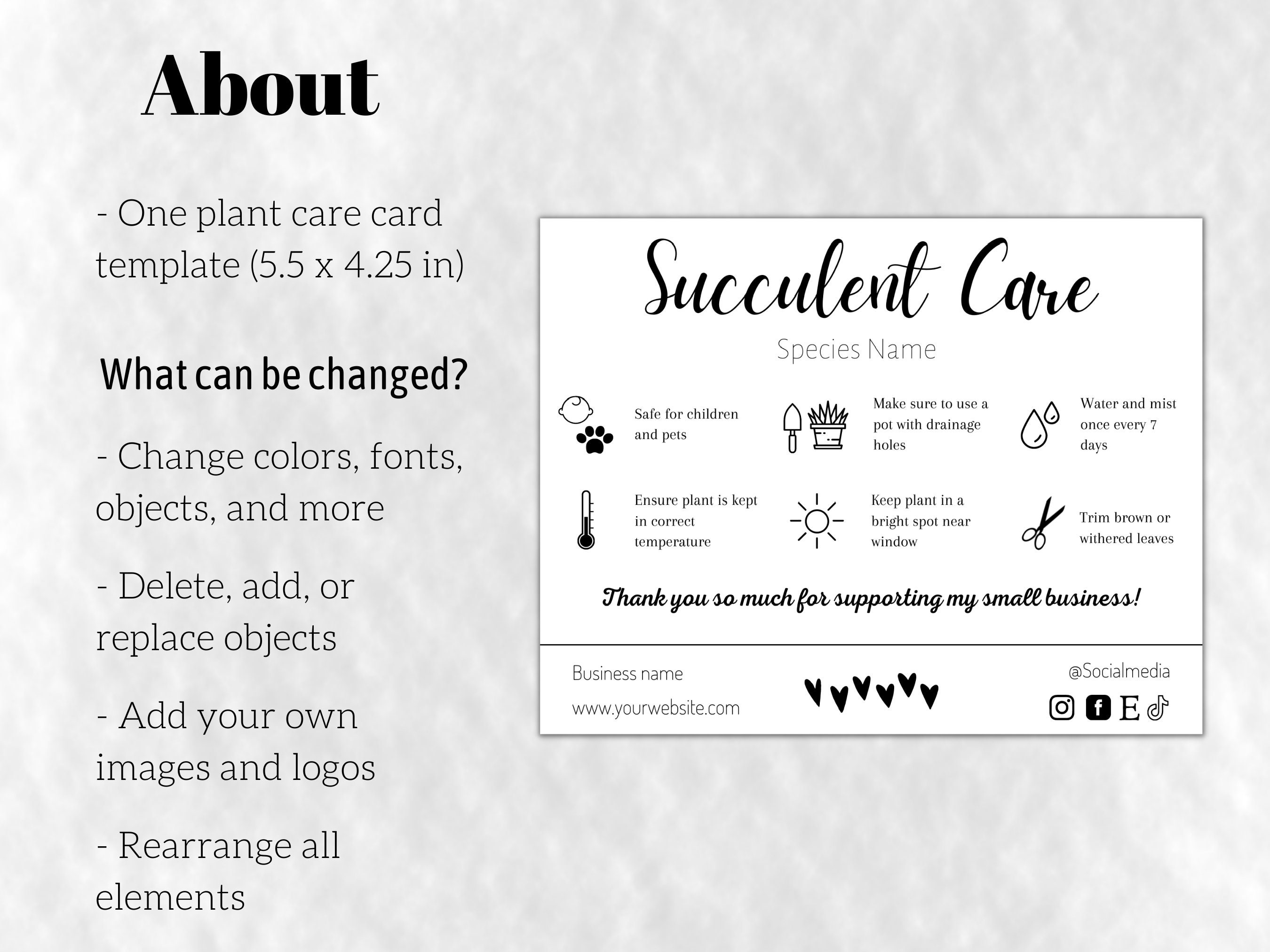 Houseplant Care Card, Succulent Care Card Template, Air Plant Care Card ...
