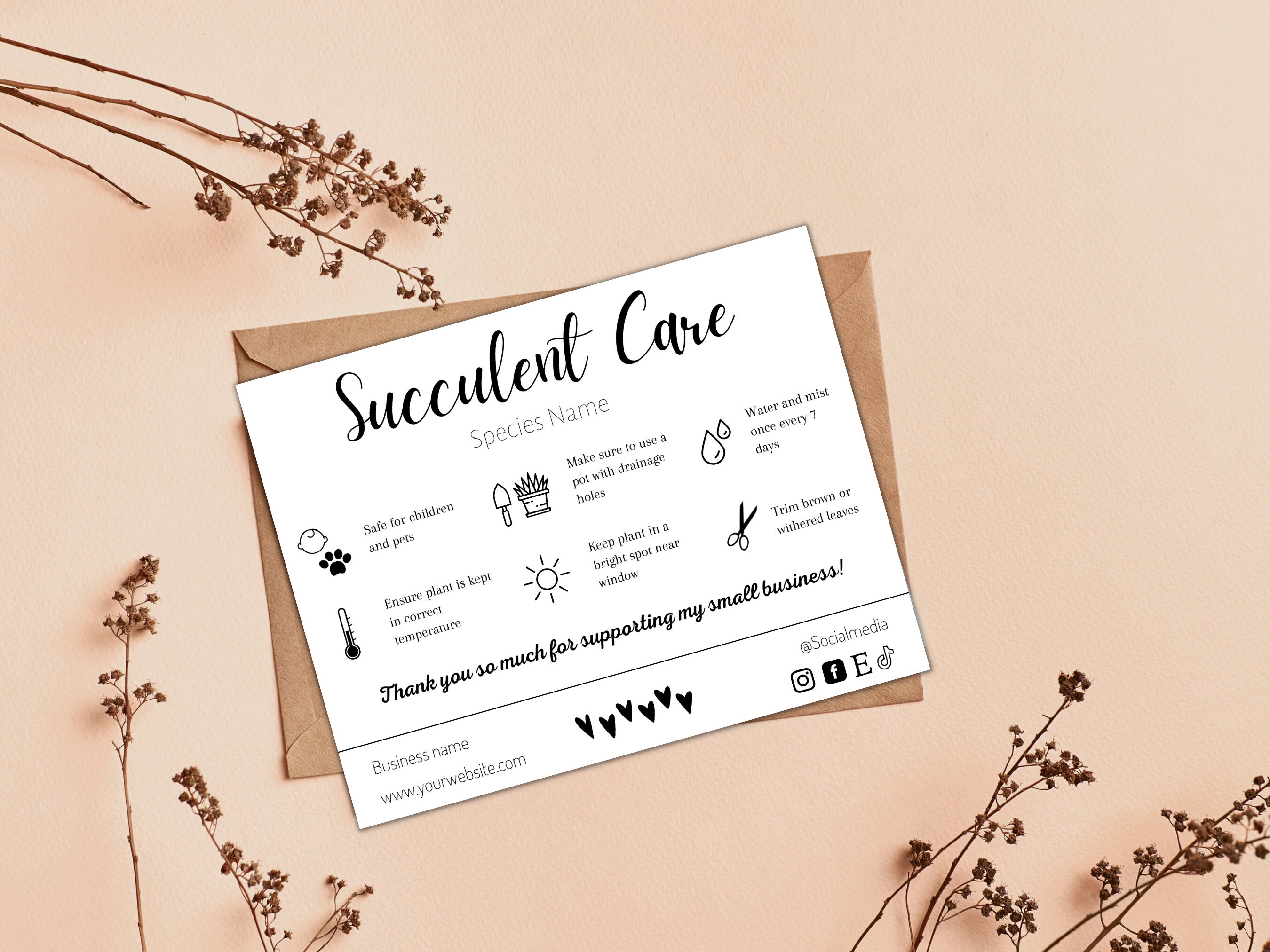 Houseplant Care Card, Succulent Care Card Template, Air Plant Care Card ...