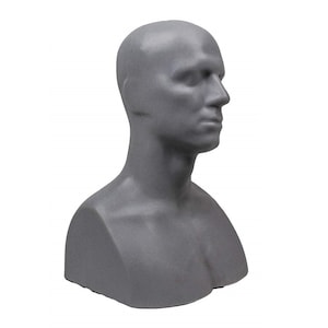 May include: A gray plaster bust of a person's head and shoulders. The bust is a simple, realistic representation of a person's head and shoulders.