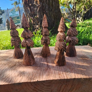 7-8 inch Redwood Tree