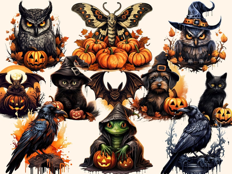 May include: A digital illustration of various Halloween themed characters and objects.  A black cat wearing a witch's hat, a black and white owl with a witch's hat, a green frog wearing a witch's hat, a black crow, a bat, a black cat, a dachshund wearing a witch's hat, a black and white owl, a butterfly, and jack-o-lanterns.