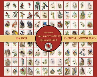 John Gould Vintage Vogel Illustrationen DIGITAL Paper Pack Vogel Ephemera Kit Natur Ephemera DRUCKBARE Vintage Junk Journal Karten Vogel Bilder