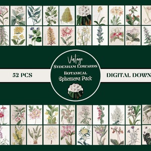 Sydenham Edwards Botanical Illustrations Ephemera Pack~52 pieces| Junk Journal Supplies Artist Trading Cards PRINTABLE Botanical Ephemera