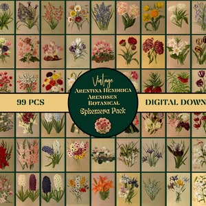 Arentina Hendrica Arendsen Illustrazioni botaniche vintage Ephemera Pack ~ 99 pezzi/ Forniture per diario spazzatura/ Carte collezionabili dell'artista STAMPABILE