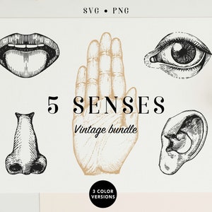 5 Senses Art Print, 5 senses tags, Five senses printables, Five senses sorting, Five senses SVG, Five Senses Therapy, Aromatherapy, Sound