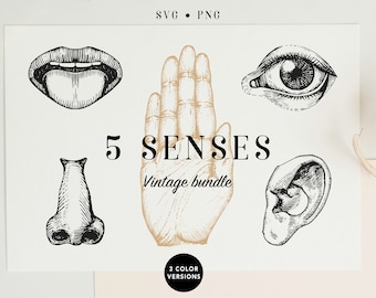 5 Senses Art Print, 5 senses tags, Five senses printables, Five senses sorting, Five senses SVG, Five Senses Therapy, Aromatherapy, Sound