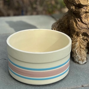Peut inclure: Un bol en céramique blanche avec deux bandes roses et bleues autour du bord. Le bol est vide et posé sur une surface grise.