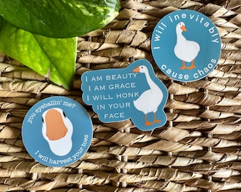 Funny Goose Sticker Set | Adult Humor, Planner Stickers | Laptop Stickers | Animal Sticker Set | Silly Goose Sticker Set