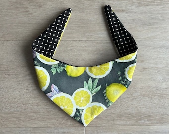 Lemon Citrus Fresh Pet Dog Bandana - Fruit Print Cat Scarf - Polka Dot -Summer- Reversible -Multiple sizes (snap buttons optional)