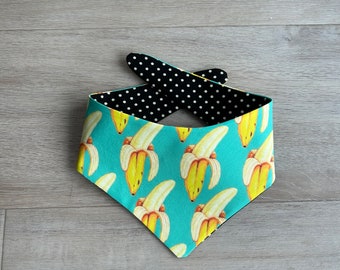 Yellow blue banana fun Pet Bandana, Dog or Cat Scarf, Reversible Black and White Polka Dots (snap buttons optional)