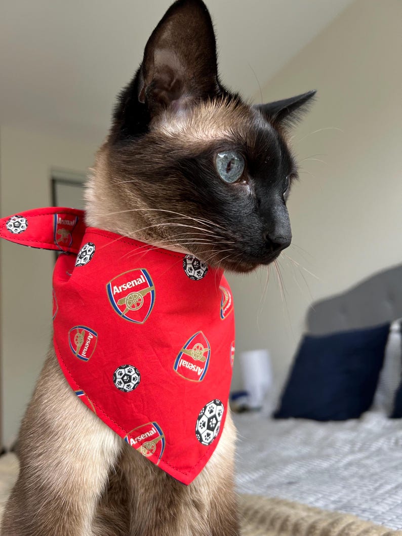 Arsenal FC Pet Bandana: Reversible Dog/Cat Bandana, Soccer Fan Gift, Football Club Accessory image 6