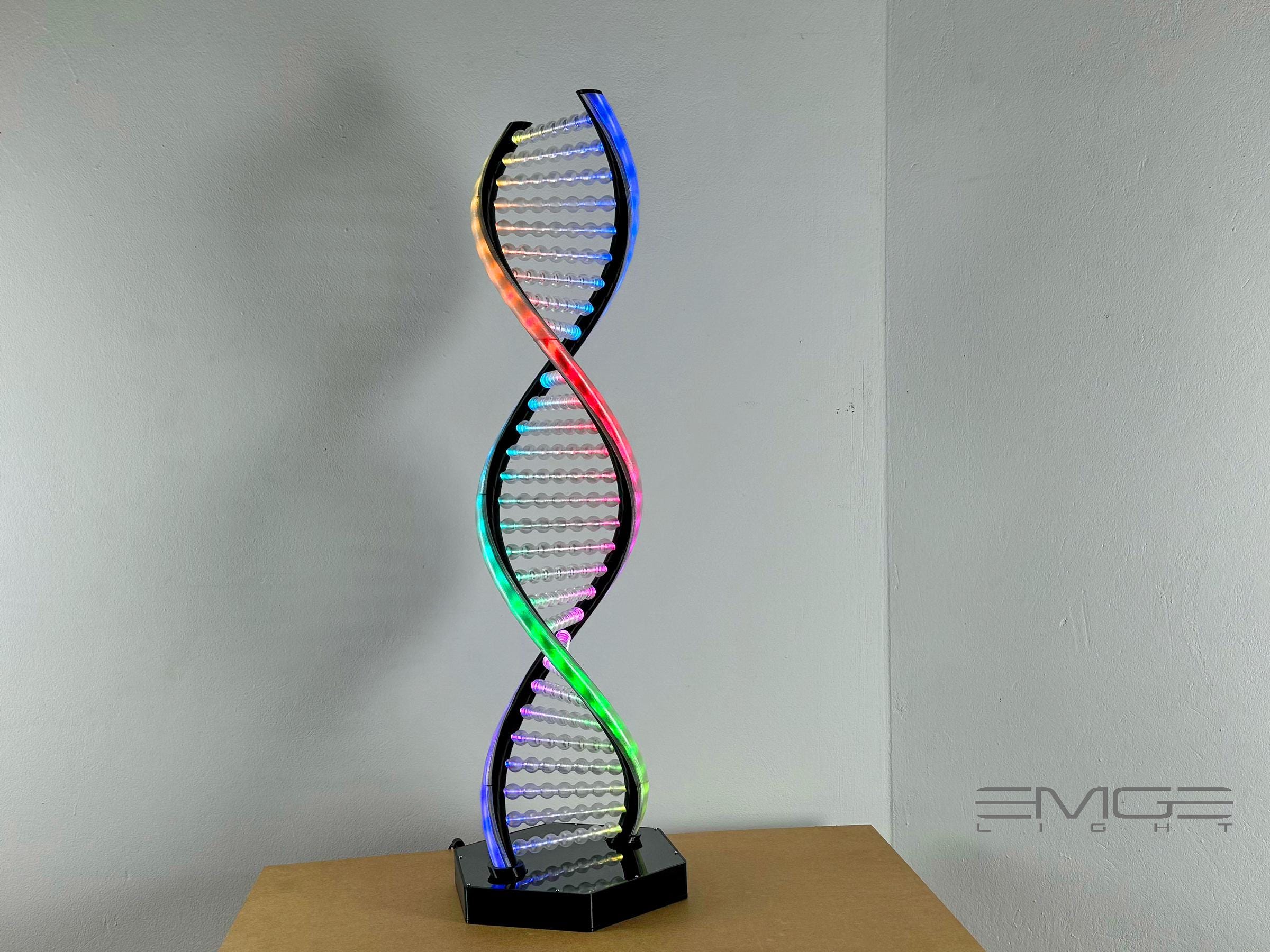 3D Printed DNA LED Lamp: Biology Science Art, Gaming Room Decor - Etsy
