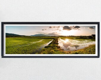 Amanecer panorámico sobre arrozales, Langkawi, Malasia. Impresión fotográfica de viajes. Agricultura.