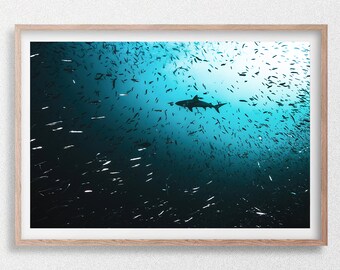 Silueta de tiburón gris de arrecife y pez, impresión fotográfica de vida silvestre submarina, Maldivas