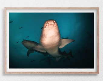 Tiburones nodriza desde abajo, impresión fotográfica de vida silvestre submarina, Maldivas