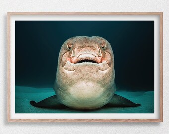 Bostezo de tiburón nodriza, impresión fotográfica de vida silvestre submarina, Maldivas